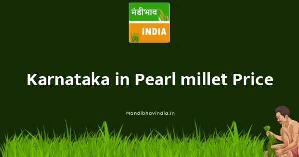 Pearl millet भाव